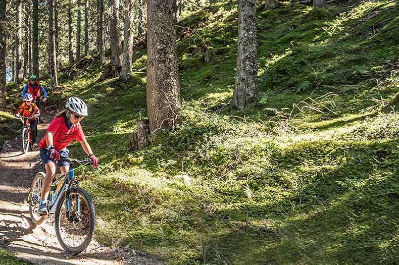 E-Bike gebraucht kaufen